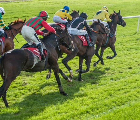 Mayenne course chevaux